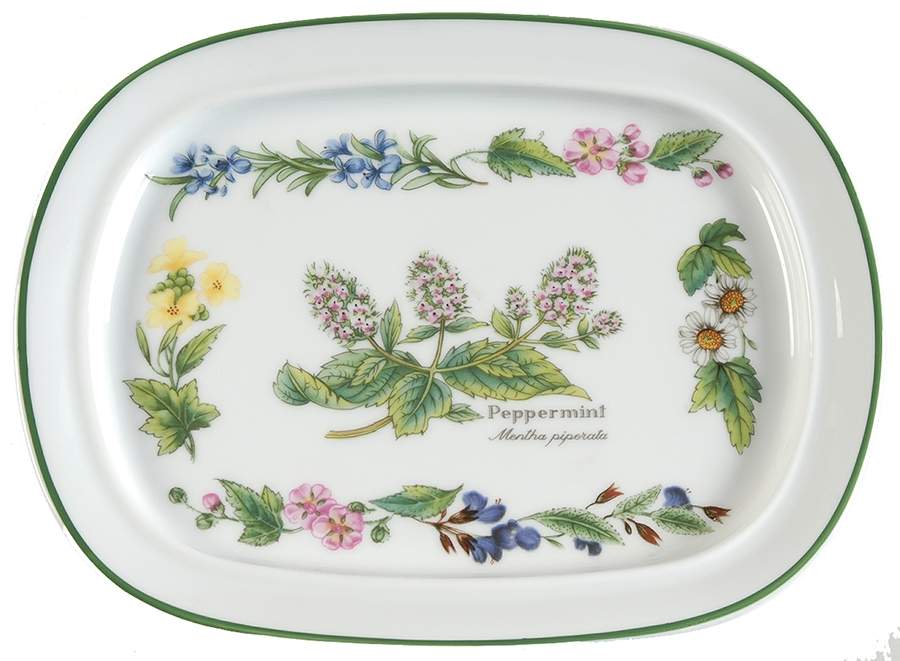 Worcester Herbs (Green Trim) Oval Snack Tray by Royal Worcester-1