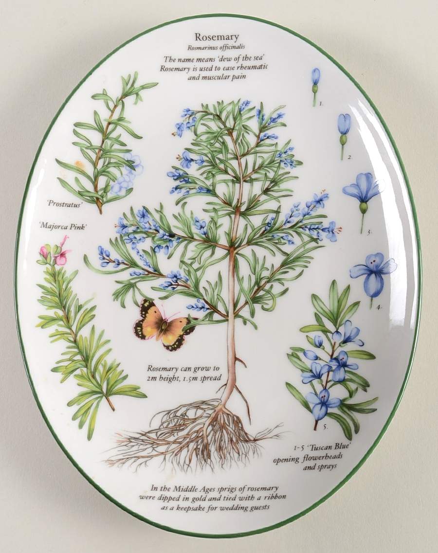 Worcester Herbs (Green Trim) 8" Oval Serving Platter by Royal Worcester-1