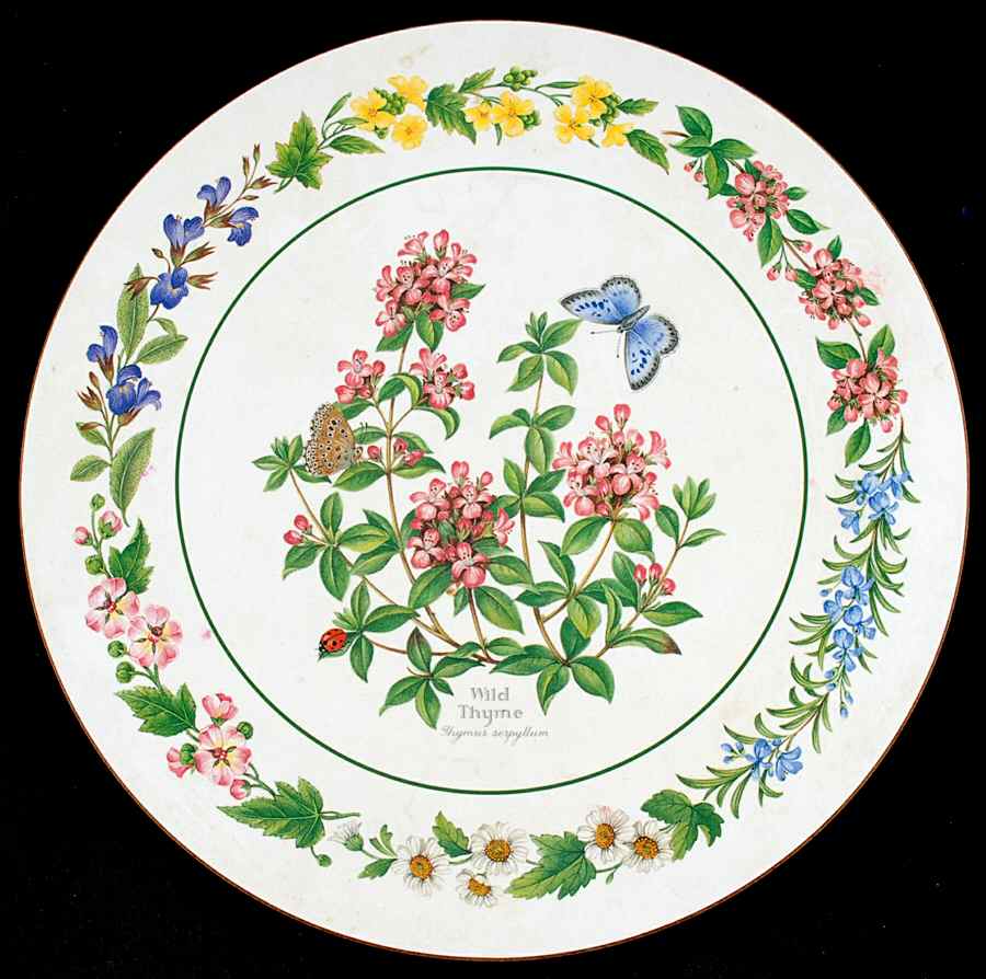 Worcester Herbs (Green Trim) Round Cork Back Trivet by Royal Worcester-1