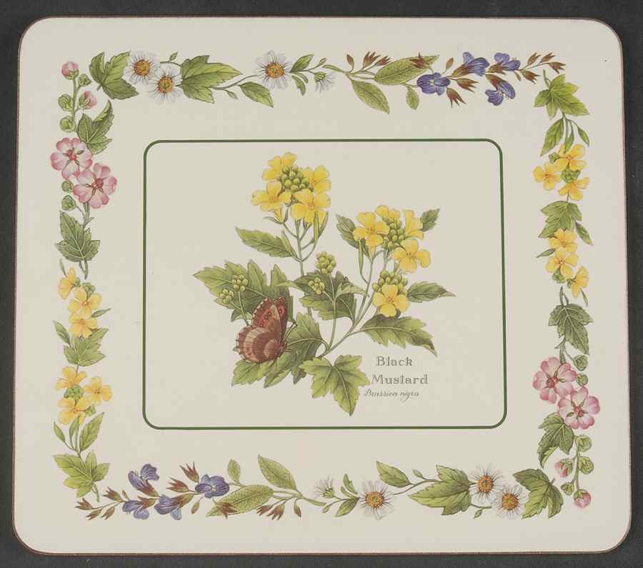 Worcester Herbs (Green Trim) Corkboard Placemat by Royal Worcester-1
