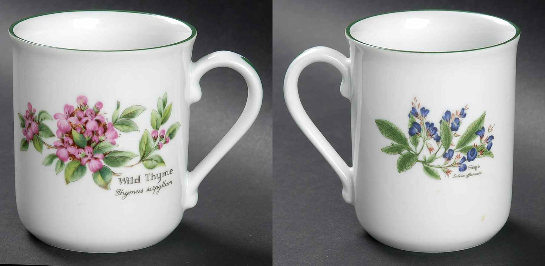 Worcester Herbs (Green Trim) Mug by Royal Worcester-1