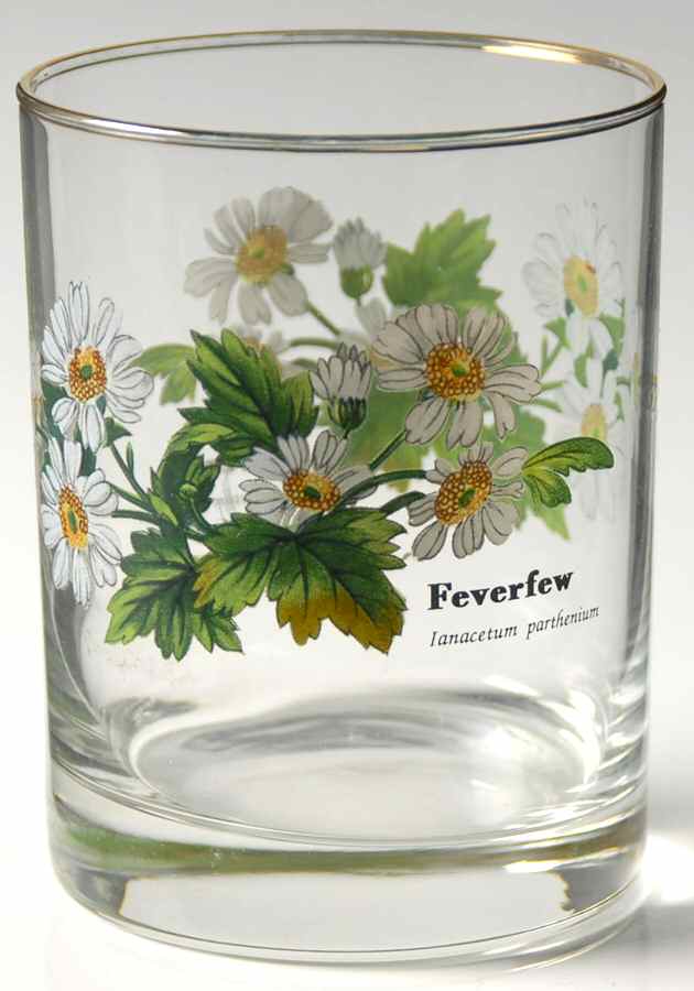 Worcester Herbs (Green Trim) 12 Oz Glassware Double Old Fashioned by Royal Worcester-1