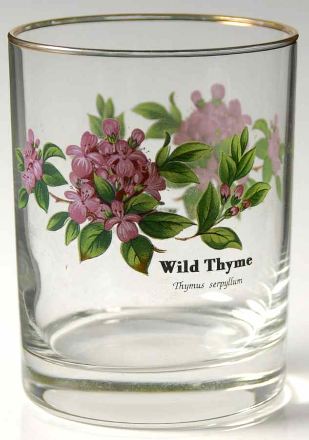 Worcester Herbs (Green Trim) 12 Oz Glassware Double Old Fashioned by Royal Worcester-1
