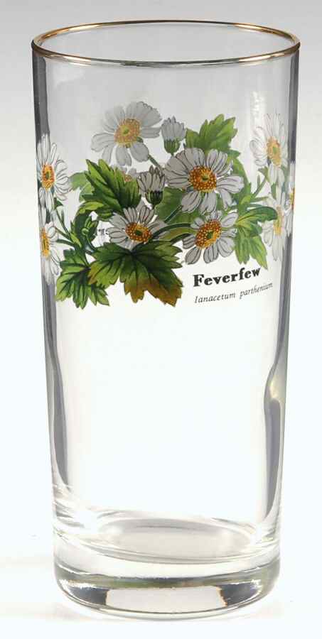 Worcester Herbs (Green Trim) 14 Oz Glassware Highball by Royal Worcester-1