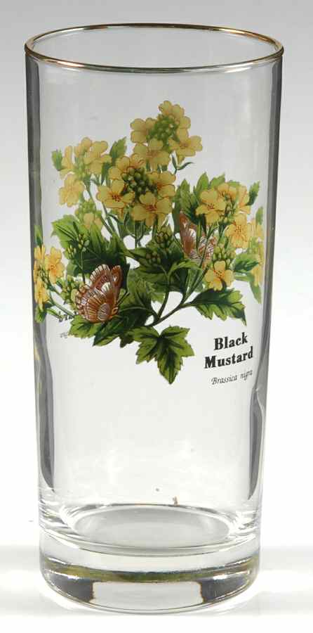 Worcester Herbs (Green Trim) 14 Oz Glassware Highball by Royal Worcester-1