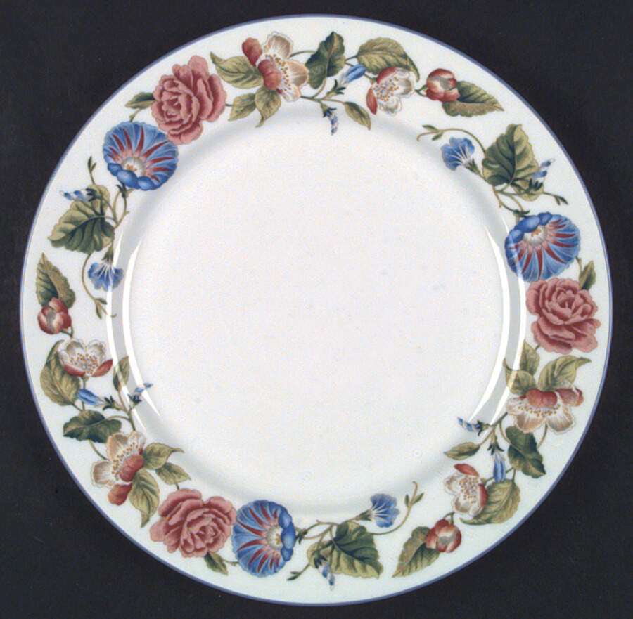 Woodbury Dinner Plate by Royal Worcester-1