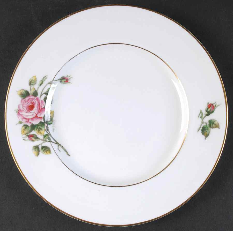Worcester Rose (Z2237-1, Pink Rose) Luncheon Plate by Royal Worcester-1