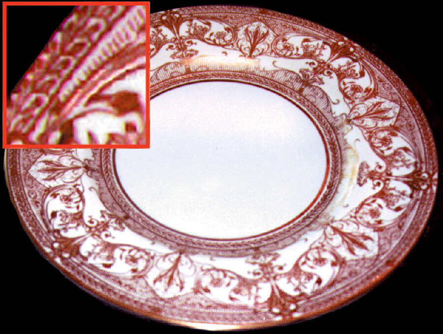Z170b Dinner Plate by Royal Worcester-1