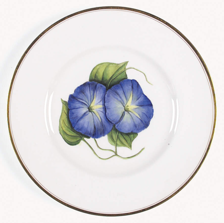 Z2168 Dinner Plate by Royal Worcester-1