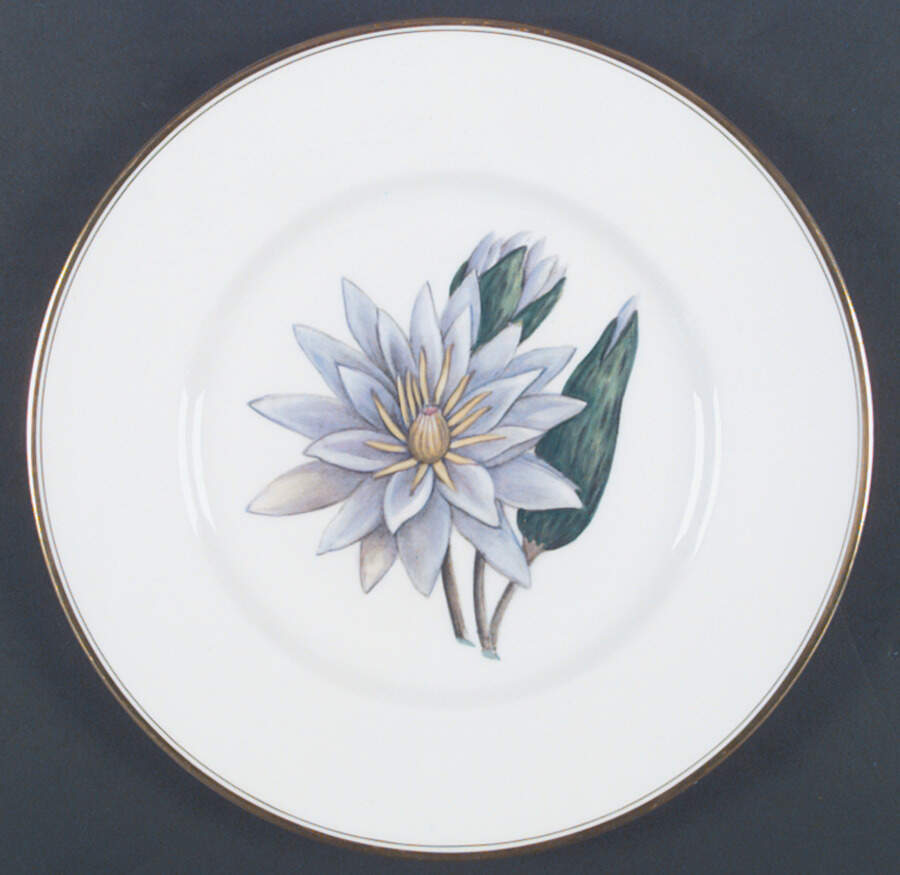 Z2168 Dinner Plate by Royal Worcester-1
