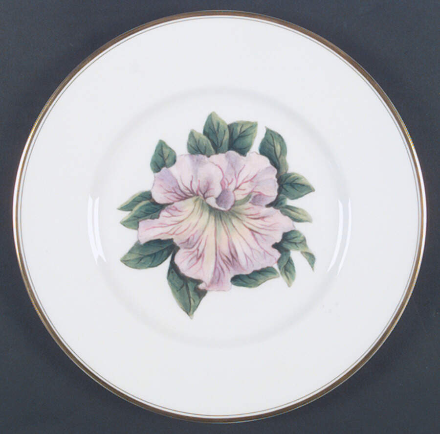 Z2168 Dinner Plate by Royal Worcester-1