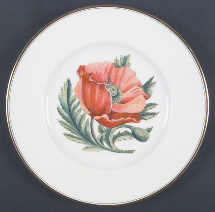 Z2168 Dinner Plate by Royal Worcester-1