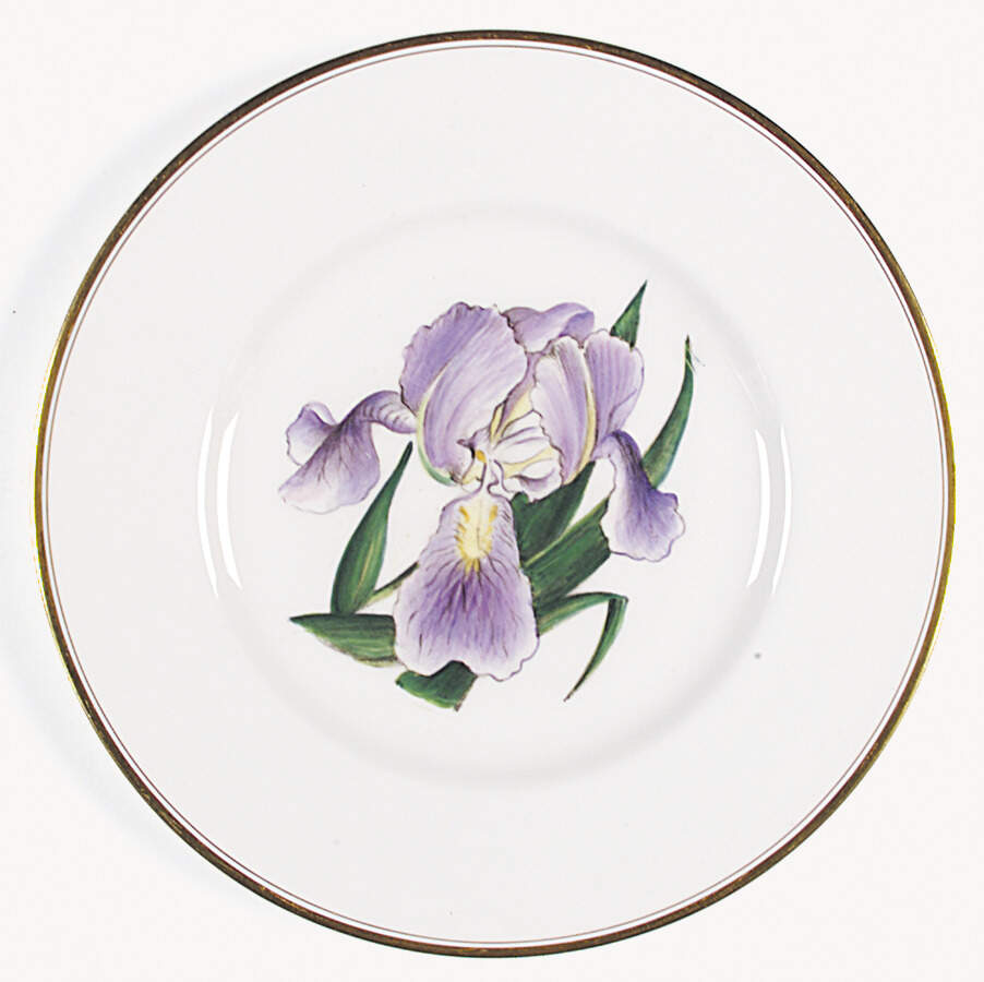 Z2168 Dinner Plate by Royal Worcester-1