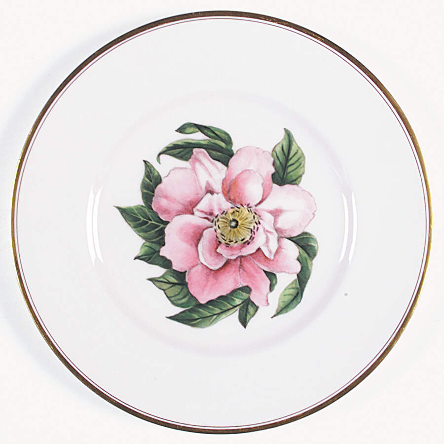 Z2168 Dinner Plate by Royal Worcester-1