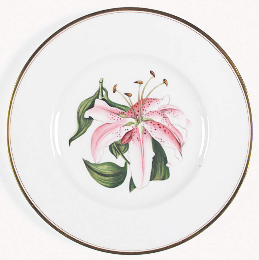 Z2168 Dinner Plate by Royal Worcester-1