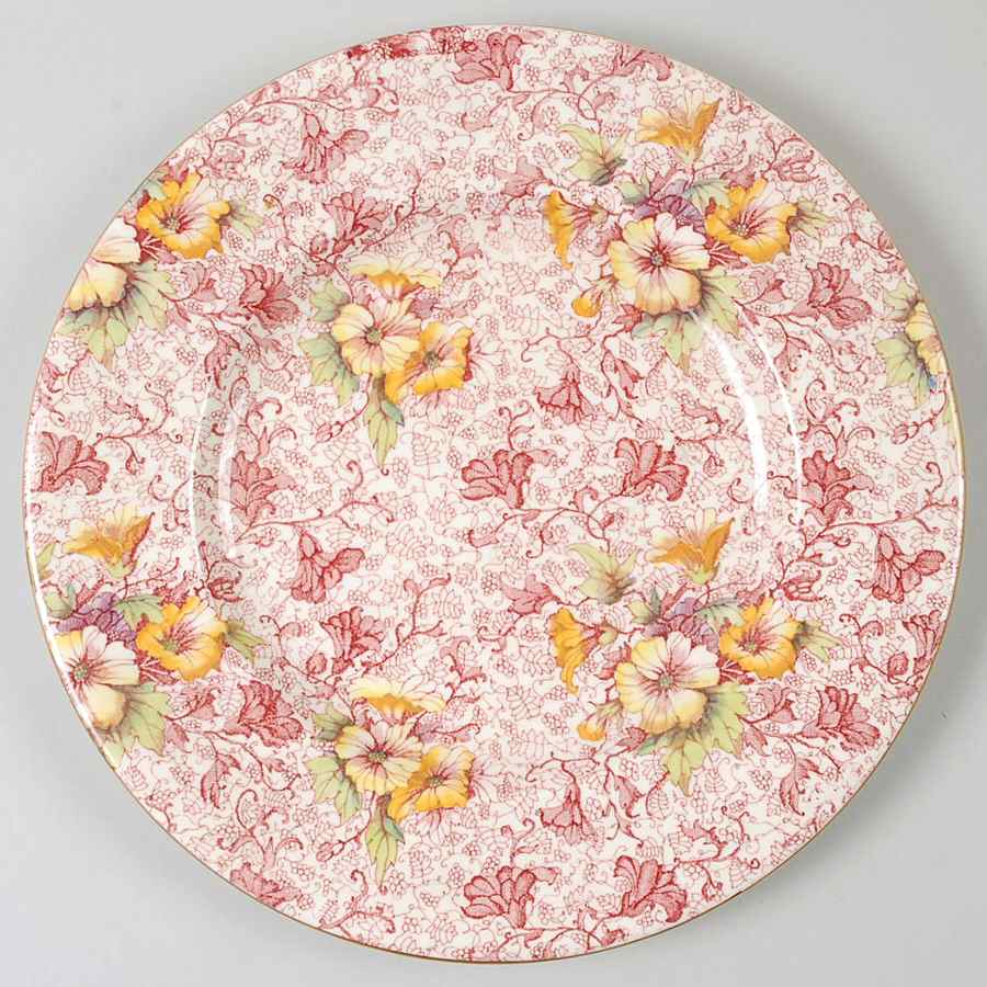 Dorset Dinner Plate by Royal Winton-1