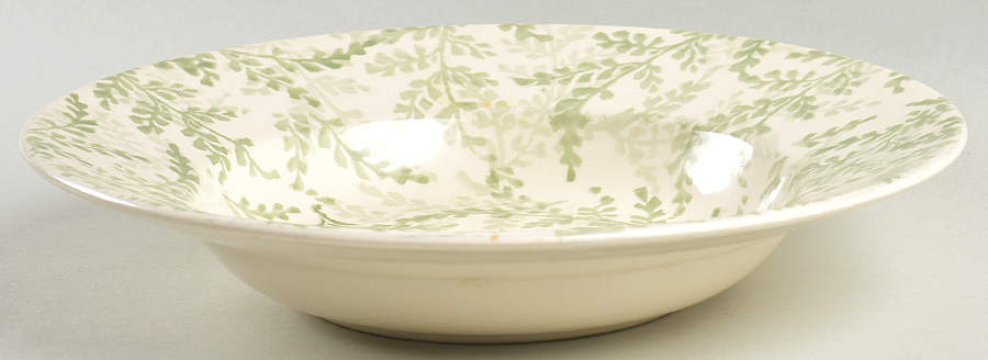 English Fern Large Rim Soup Bowl by Royal Winton-1