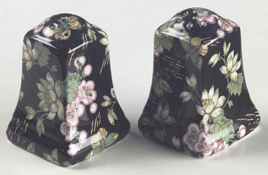 Orient Salt & Pepper Set by Royal Winton-1