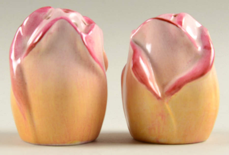 Rosebud Yellow (Yellow Background) Salt & Pepper Set by Royal Winton-1