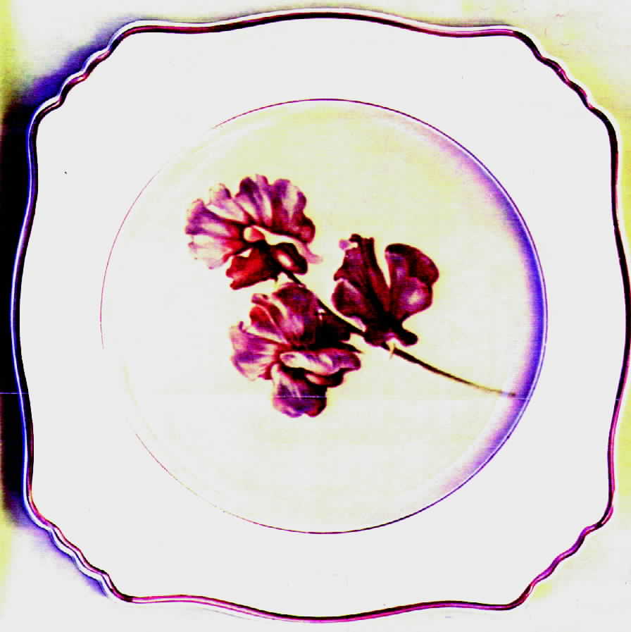 RWI8 Square Salad Plate by Royal Winton-1
