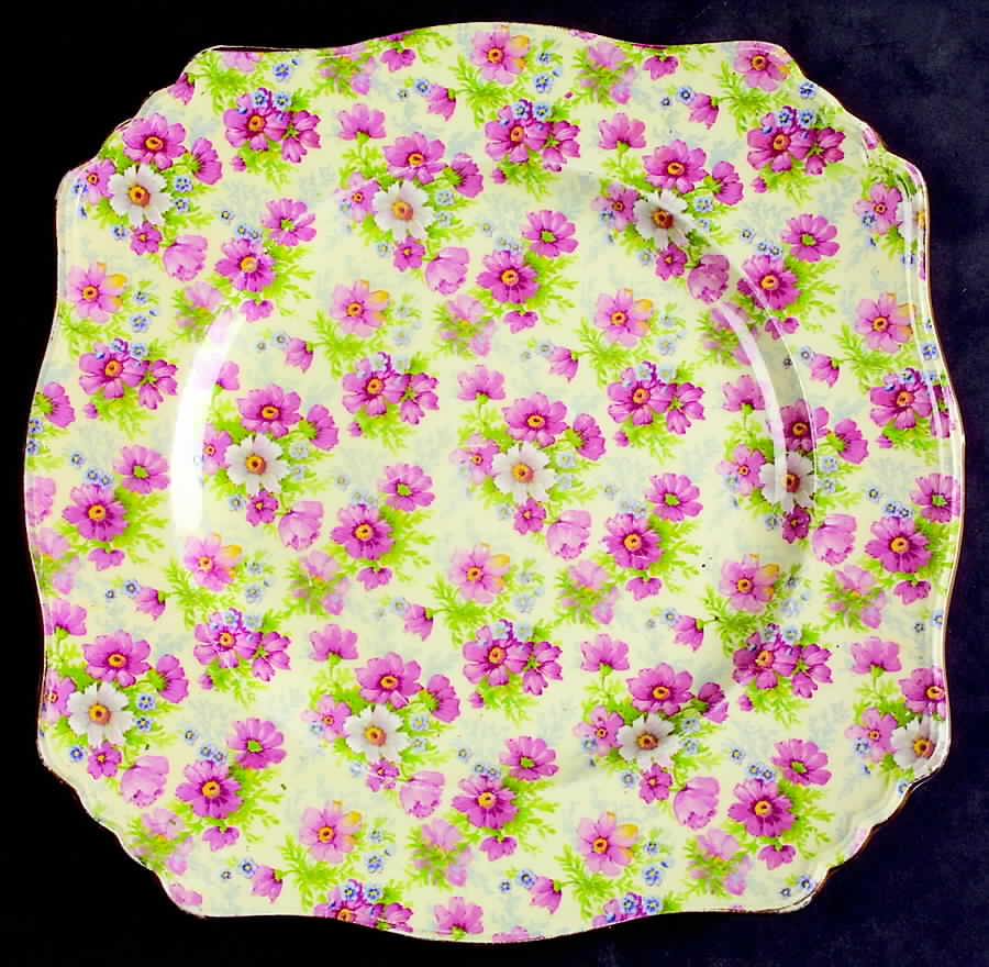 Shrewsbury Square Dinner Plate by Royal Winton-1