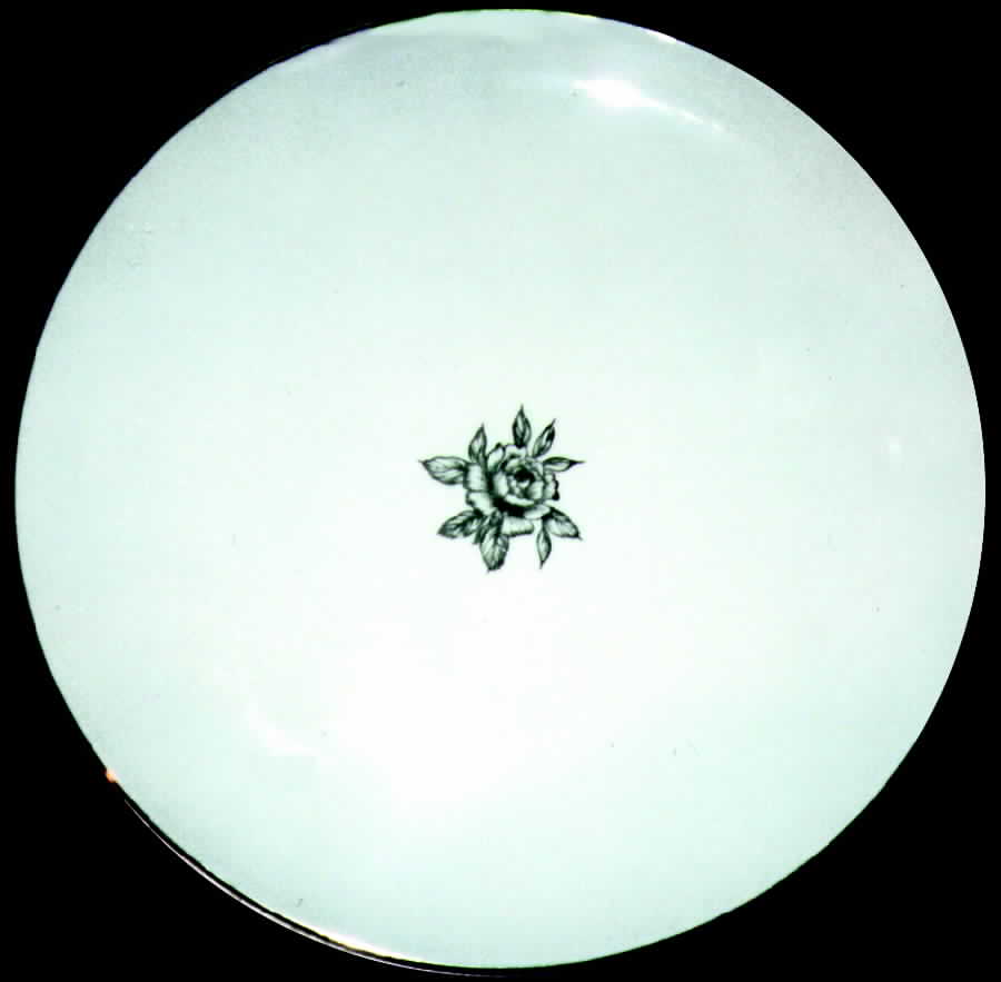 RYA2 Dinner Plate by Royal Chatham-1