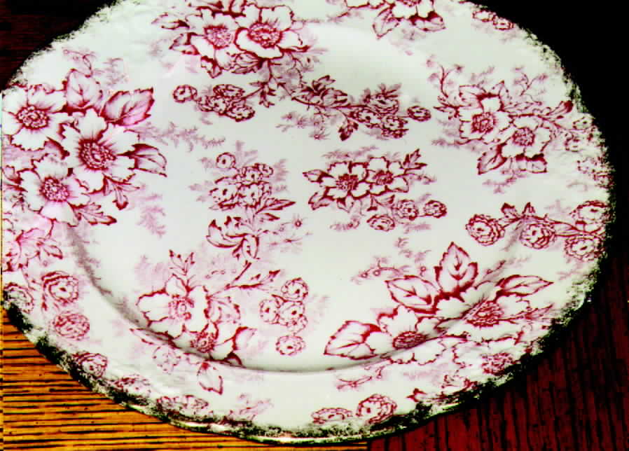 RYB2 Dinner Plate by Royal L B-1