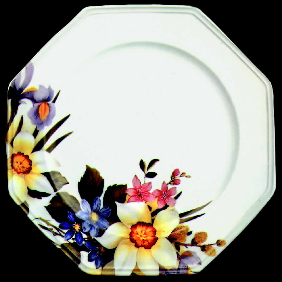 Champ Fleuri Dinner Plate by Royale (France)-1