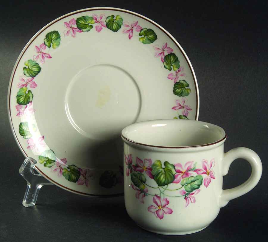 Country Flower Flat Cup & Saucer Set by Royal (USA)-1