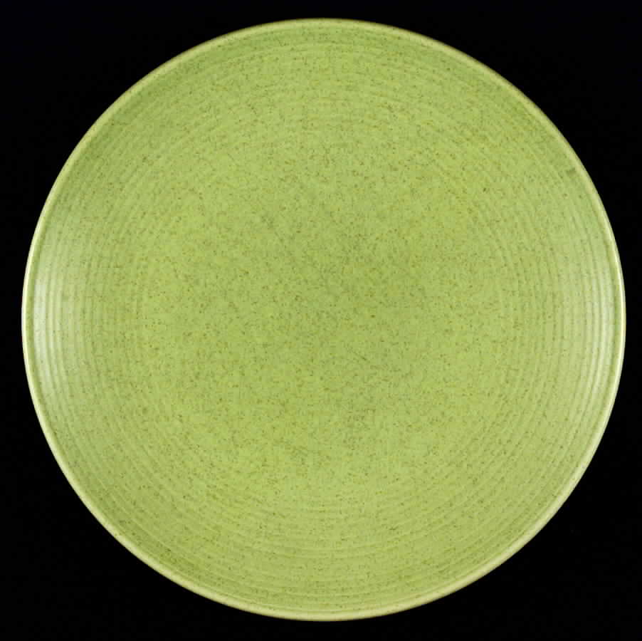 Royal Stone Dinner Plate by Royal (USA)-1