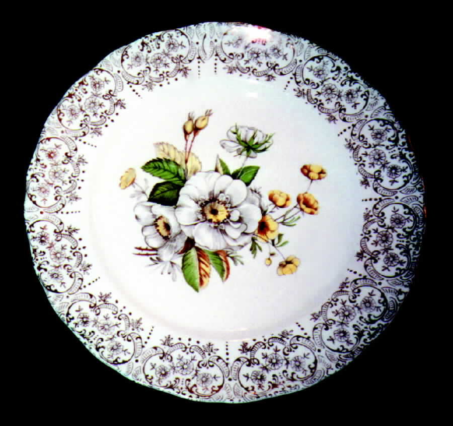RYL45 (USA) Dinner Plate by Royal (USA)-1