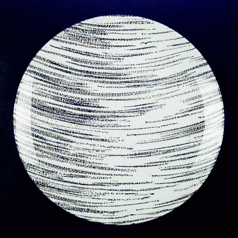 Windblown Black Dinner Plate by Royal (USA)-1