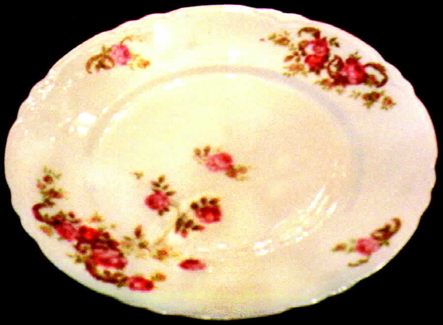 RYX1 Dinner Plate by Royal Saxony-1