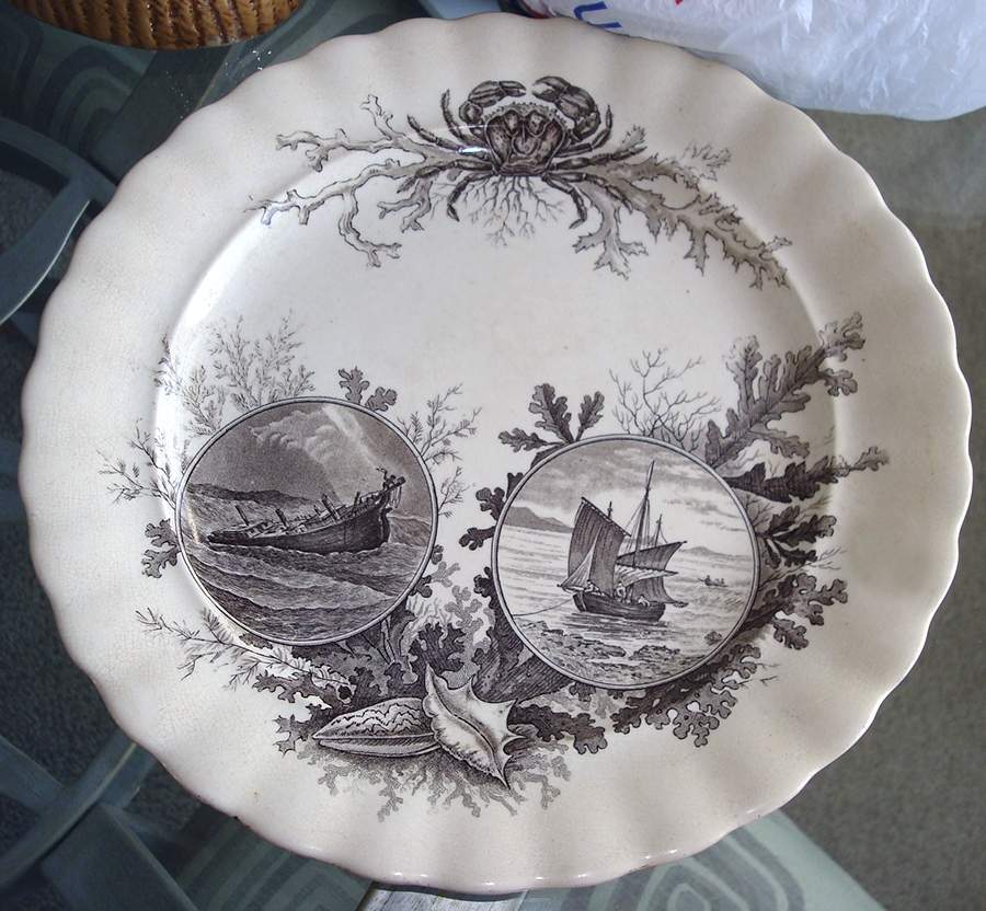 Oceana Dinner Plate by Royal Doulton-1
