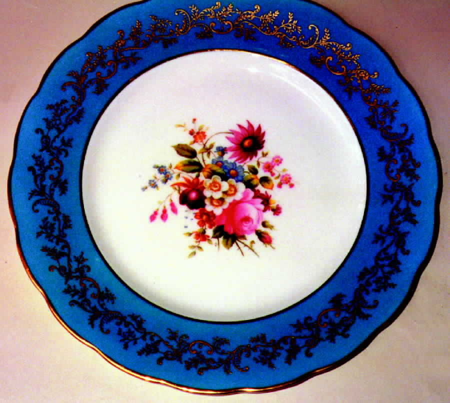 R644 Dinner Plate by Royal Swansea-1