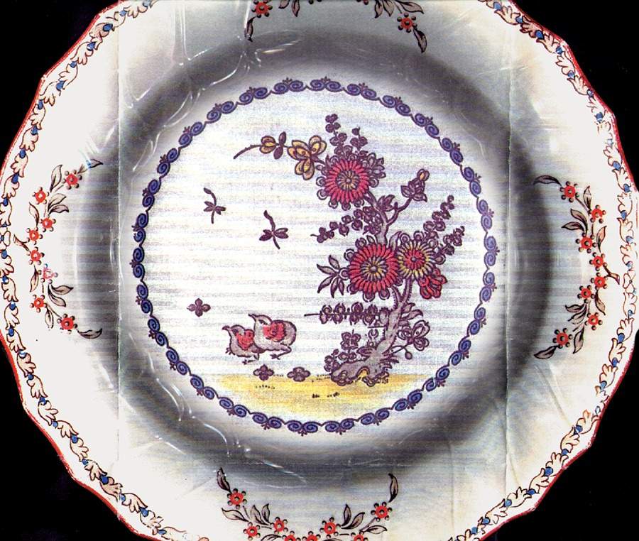 X709 Dinner Plate by Royal Cauldon-1