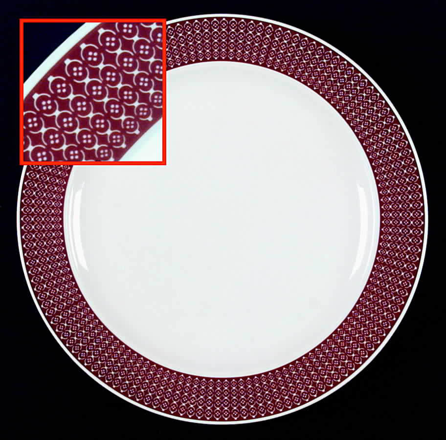 R581 Dinner Plate by Rosenthal - Continental-1