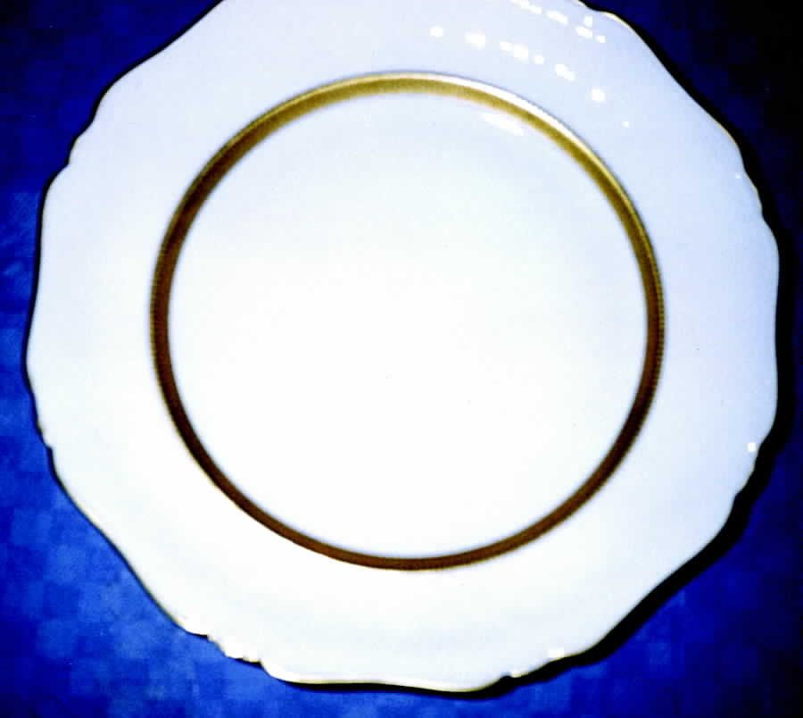 P1777 Dinner Plate by Royal Princess-1