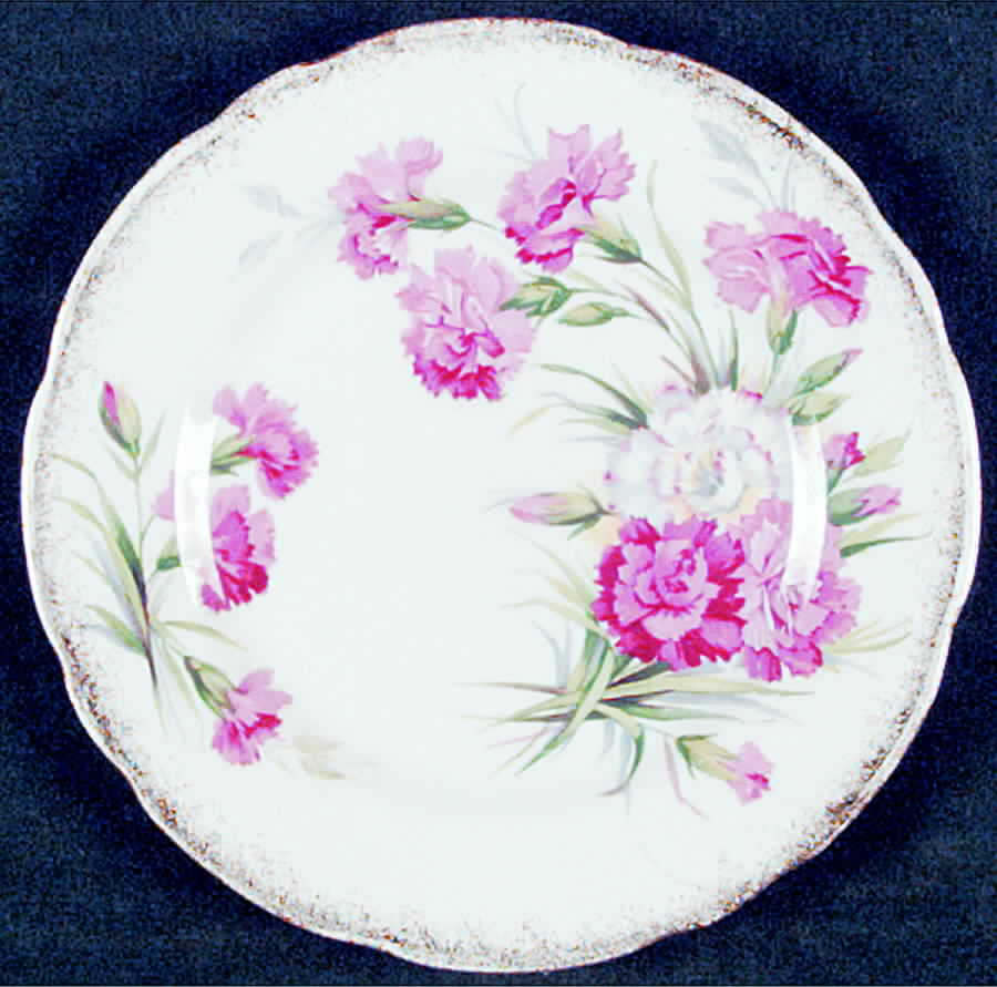 Carnation (Brushed Trim) Bread & Butter Plate by Royal Stafford-1