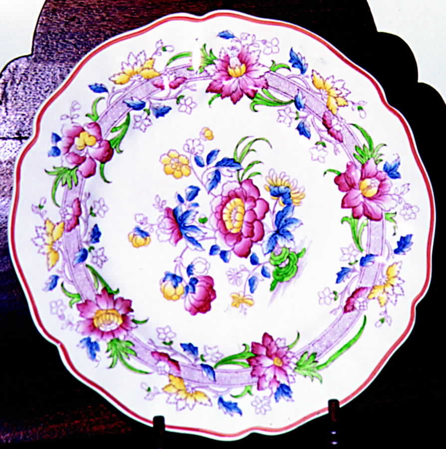 D5379 Dinner Plate by Royal Doulton-1