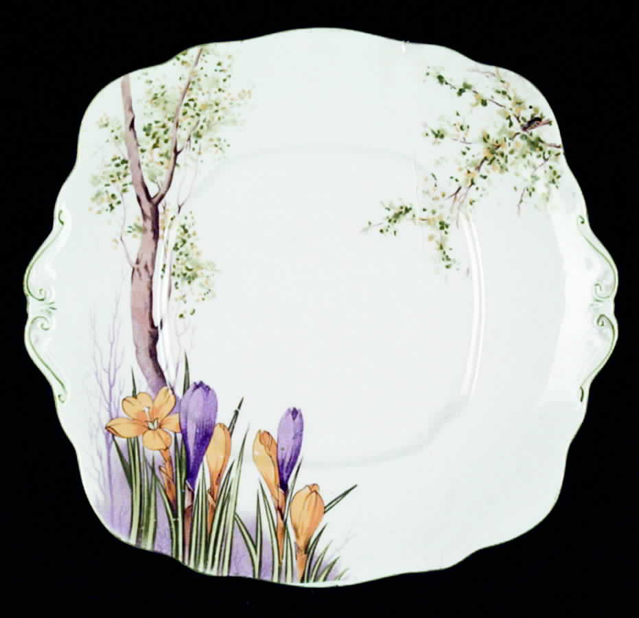 ROA36 Square Handled Cake Plate by Royal Albert-1