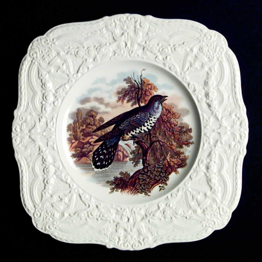 ROC56 Square Salad Plate by Royal Cauldon-1