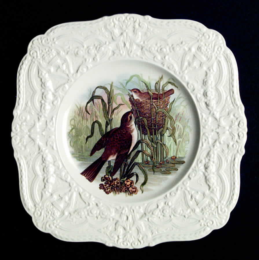 ROC56 Square Salad Plate by Royal Cauldon-1