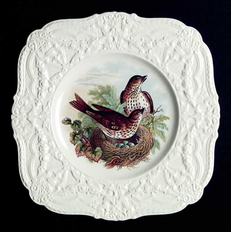 ROC56 Square Salad Plate by Royal Cauldon-1