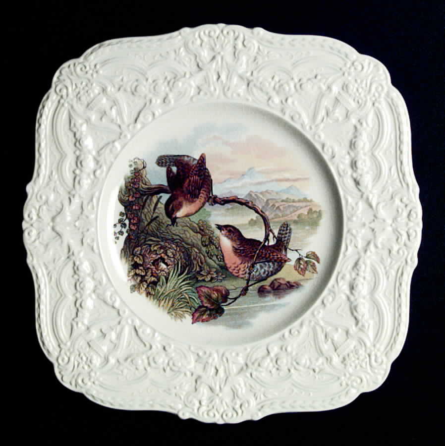 ROC56 Square Salad Plate by Royal Cauldon-1