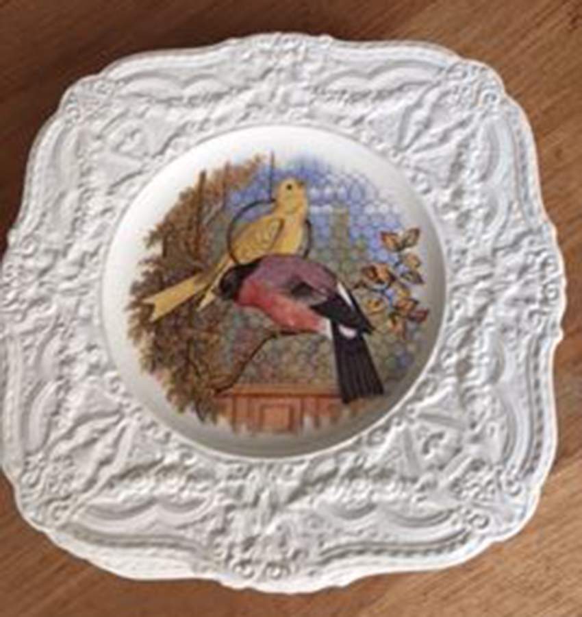 ROC56 Square Salad Plate by Royal Cauldon-1