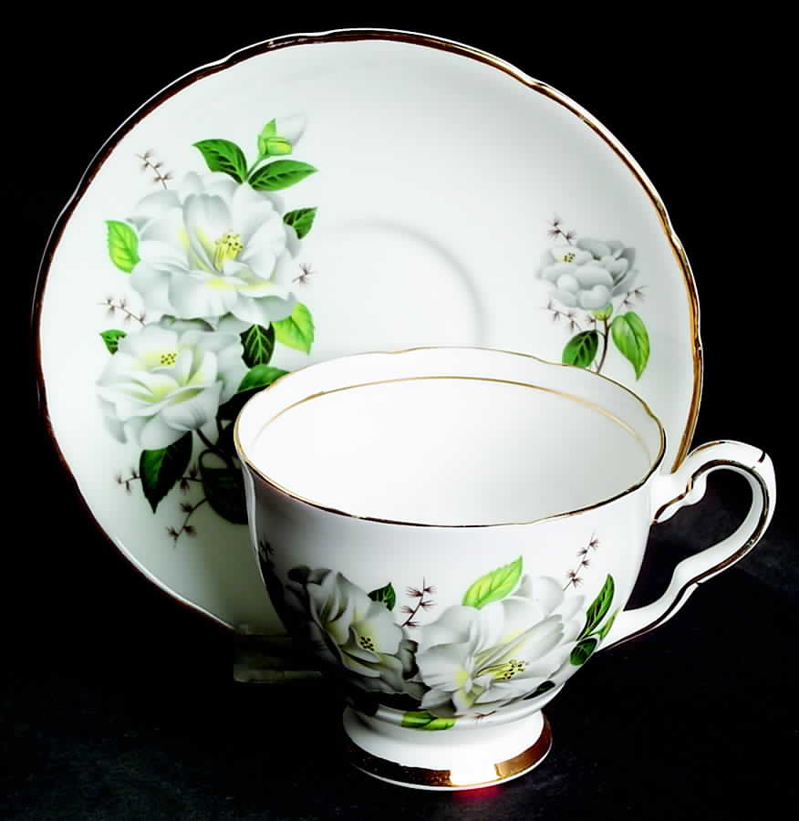 Camellia Footed Cup & Saucer Set by Royal Stafford-1
