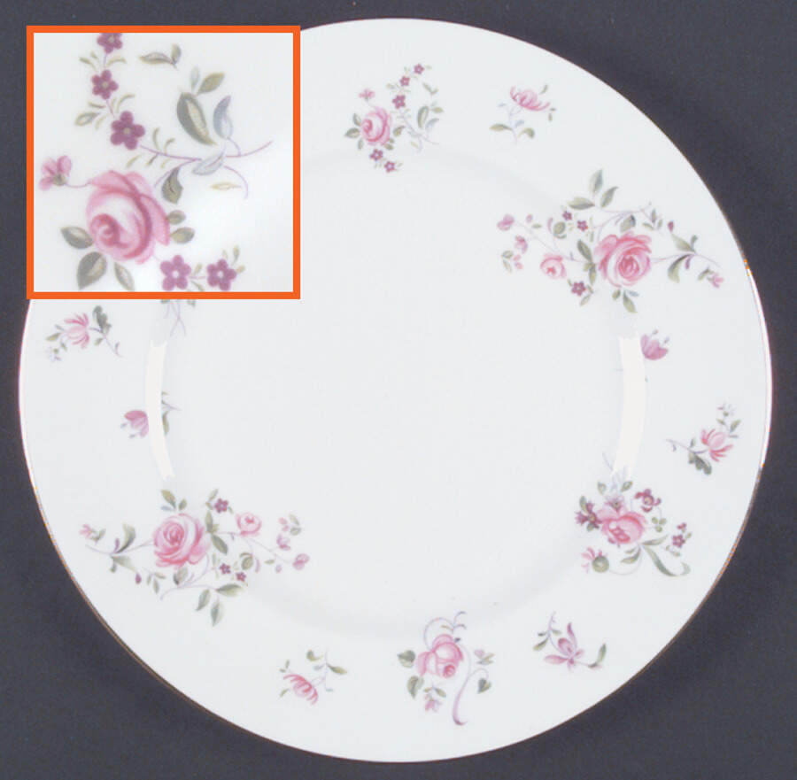 ROV7 Dinner Plate by Royal Victoria-1
