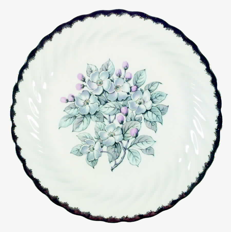 Belvidere Platinum Dinner Plate by Royal (USA)-1