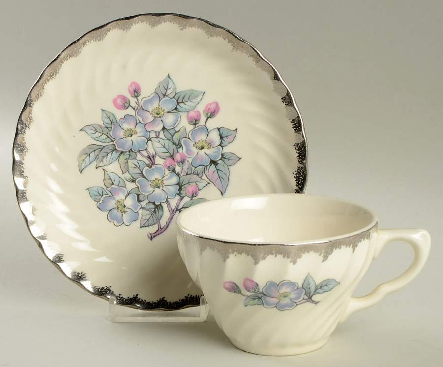 Belvidere Platinum Flat Cup & Saucer Set by Royal (USA)-1